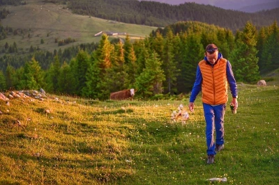 Husky Dresles M orange pánská péřová vesta