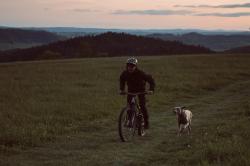 Husky Luma M mustard pánská ultralehká bunda