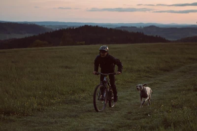 Husky Luma M mustard pánská ultralehká bunda