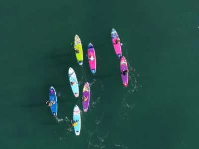 Iboard Paddleboard 11 - 1 PURPLE PALM 2026 paddleboard set + sleva 300,- na příslušenství