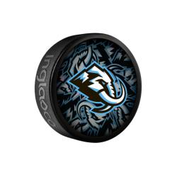 InGlasCo Fanouškovský puk NHL Clone Blister (1ks)