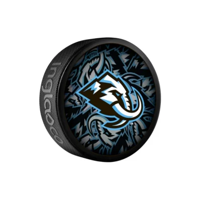 InGlasCo Fanouškovský puk NHL Clone Blister (1ks)