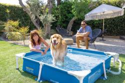 Intex Bazén pre domáce zvieratá 48402 152x152x30 cm