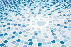 Intex Bazén pro domácí mazlíčky 48400 152x30 cm