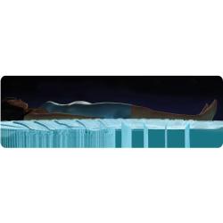 Intex Nafukovací postel 64179 PRESTIGE MID-RISE QUEEN 203x152x30 cm