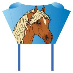 Sleddy Pony - kapesní drak