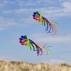 Invento Soft Swirl Rainbow 300 - Dragon Tail, 3mx43cm, 8 barev
