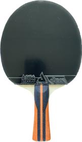 JOOLA - J Carbon + Vizon pálka