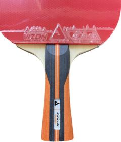 JOOLA - J Carbon + Vizon pálka