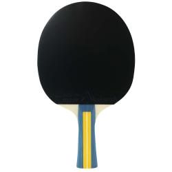 Joola Pálka na stolní tenis TEAM MASTER