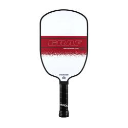 Joola Sada na pickleball Champion Agassi/Graf