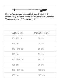 Komperdell BOOSTER Speed - Carbon 2023/24 lyžařské hůlky
