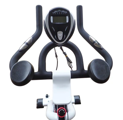 Kubisport Cyklotrenažer BC4660K