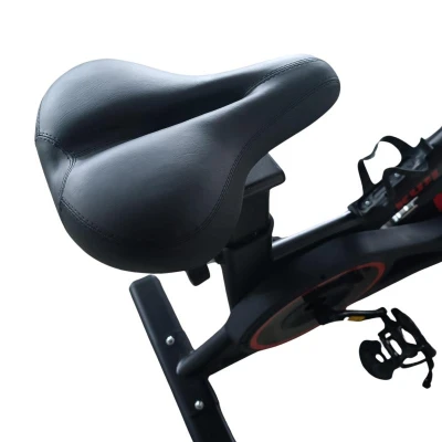 Kubisport Cyklotrenažer BC4670K s bluetooth