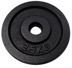 Kubisport Litina 2,5 kg kotouč
