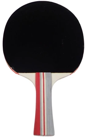 Kubisport Pálka na stolní tenis 3-star G317K