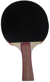 Kubisport Pingpongová pálka 2-star G1709K