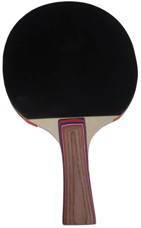 Kubisport Pingpongová pálka 2-star G1709K
