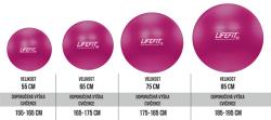 Lifefit Gymnastický míč Anti-burst 65 cm bordó