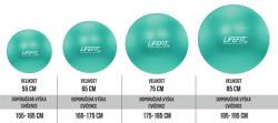 Lifefit Gymnastický míč Anti-burst 75 cm tyrkysový