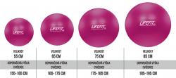 Lifefit Gymnastický míč ANTI-BURST 85 cm, bordó
