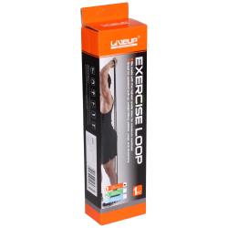 LiveUp Aerobic guma posilovací guma 208 x 0,45 cm modrá