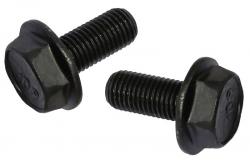 Max1 osa 131+Fe misky BSA