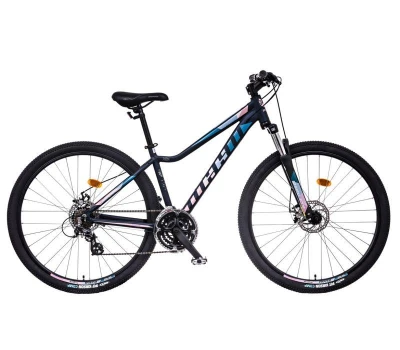 Mayo XC 29 BASIC LITE D horské kolo + výbava zdarma