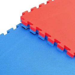 Merc sport TATAMI-podložka oboustranná na cvičení 100x100x2 cm červeno/modrá
