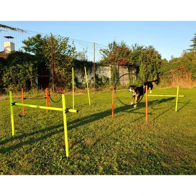 Merco Dog Multi agility překážky pro psy