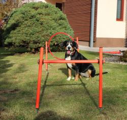 Merco Dog Trainer agility prekážky pre psy