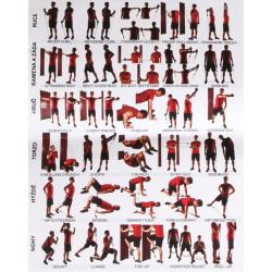 Merco Resistance Band Set TPE posilňovacie gumy