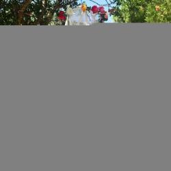 Merco Roof moskytiéra