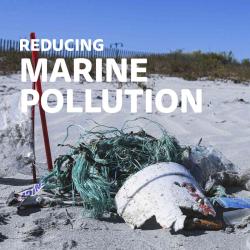 Mini Micro Deluxe ECO Green koloběžka