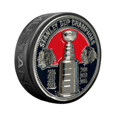 Mustang Fanouškovský 3D puk NHL Stanley Cup