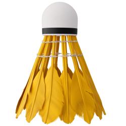 NILS Bedmintonové loptičky z peria NBL6216 multicolor 6 ks