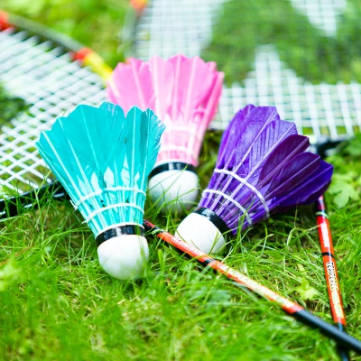 NILS Badmintonový set NRZ204