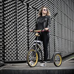 Nils EXTREME WH-200 Kolobežka