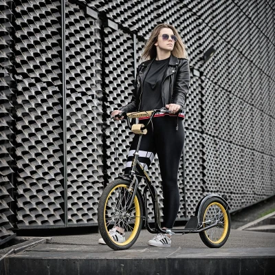 Nils EXTREME WH-200 Koloběžka