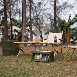 Nils Skládací box s víkem Camp NCB4004 50L zelený