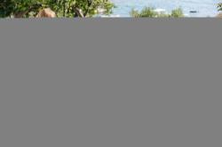 Nitro Batoh STASH 29 haze