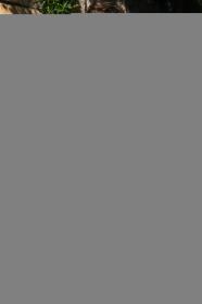 Nitro Batoh STASH 29 haze