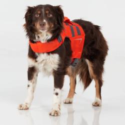 NRS CFD Dog vesta