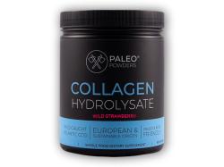 Paleo Powders Kolagen z divokých ryb 500g (natural jahoda + vitamin C)