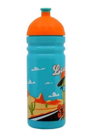 R&B Kaktus lahev a svačinový box