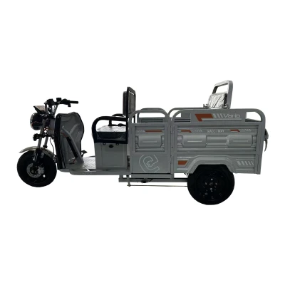 RACCEWAY Vario stříbrná elektrická pracovní tříkolka
