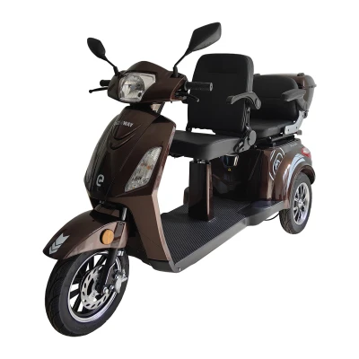 RACCEWAY VIA LUX DUO kávový elektrický tříkolový vozík
