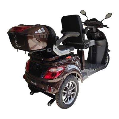 RACCEWAY VIA LUX DUO kávový elektrický tříkolový vozík
