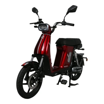 RACCEWAY Elektroskútr E-babeta II vínová bez baterie + sleva 1000,- na příslušenství