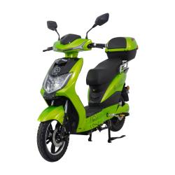 RACCEWAY Elektroskútr E-fichtl sv.zelený-metalický s baterií 20Ah + sleva 1500,- na příslušenství RACCEWAY Elektroskútr E-fichtl sv.zelený-metalický s baterií 20Ah + sleva 1500,- na příslušenství